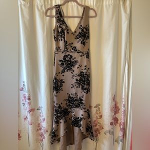 NWT XS le chateau dress